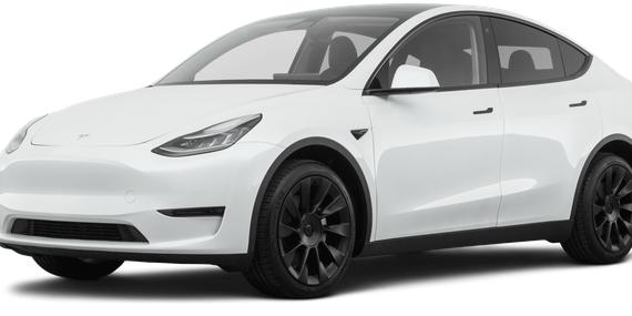 TESLA MODEL Y 2021 5YJYGDEE8MF274581 image